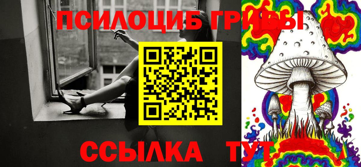 Псилоцибиновые грибы Psilocybine cubensis  Вход с VPN  Комсомольск-на-Амуре 