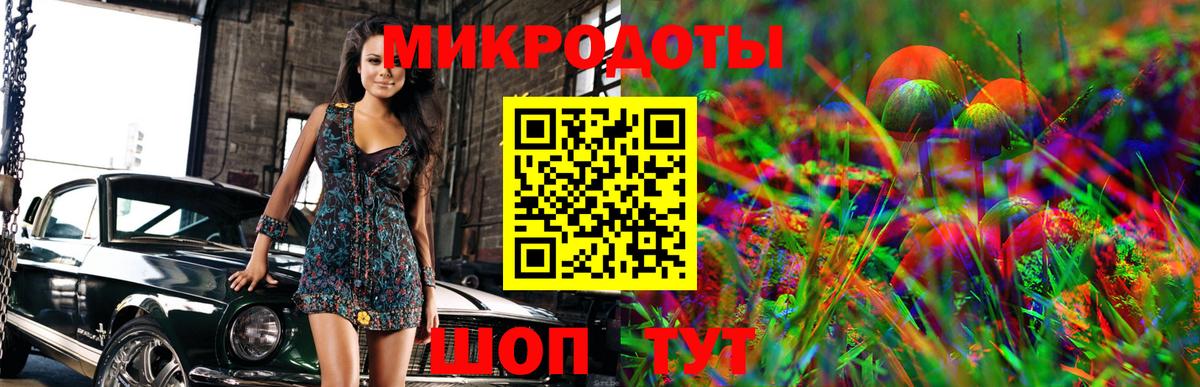 Псилоцибиновые грибы Psilocybine cubensis Комсомольск-на-Амуре