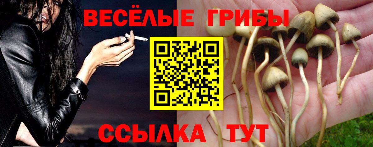 Конопля  ТГК  Комсомольск-на-Амуре  Вход с VPN  Меф   Кокаин  МДМА 